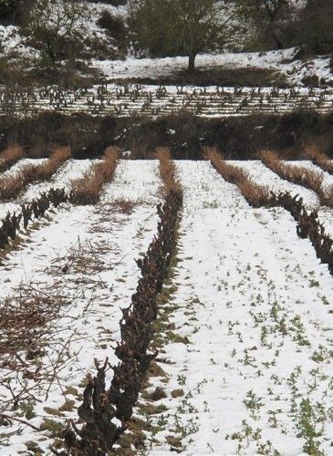 ???????????????????????????????