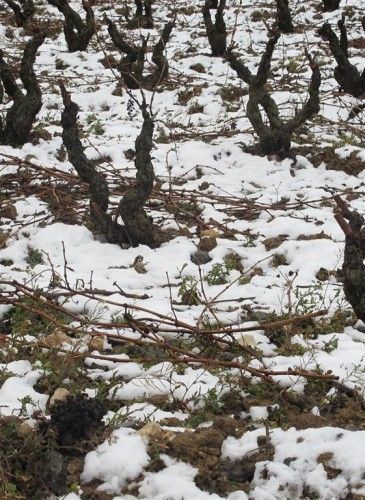 ???????????????????????????????