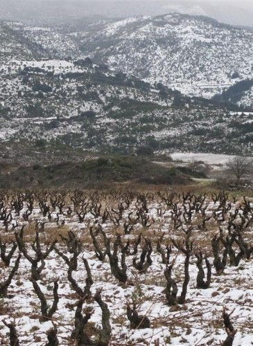 ???????????????????????????????