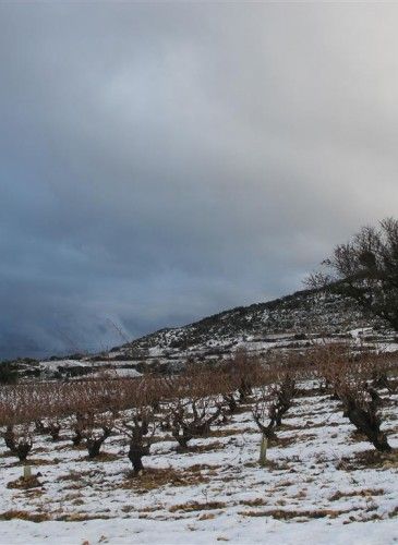 ???????????????????????????????