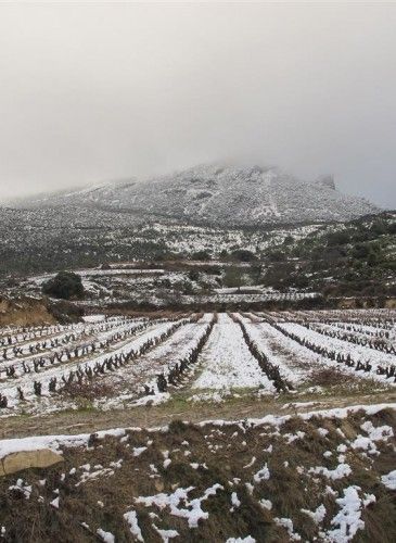 ???????????????????????????????